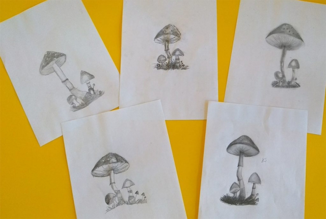 zdjęcie rysunków - grzyby
