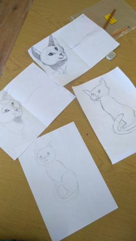 zdjęcie rysunków - zwierzaki