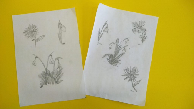 zdjęcie prac - zajęcia rysunku - wiosna