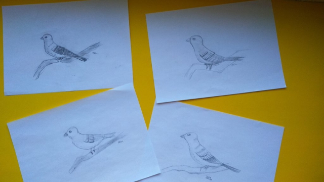 zdjęcie prac - zajęcia rysunku - wiosna