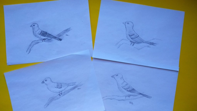 zdjęcie prac - zajęcia rysunku - wiosna