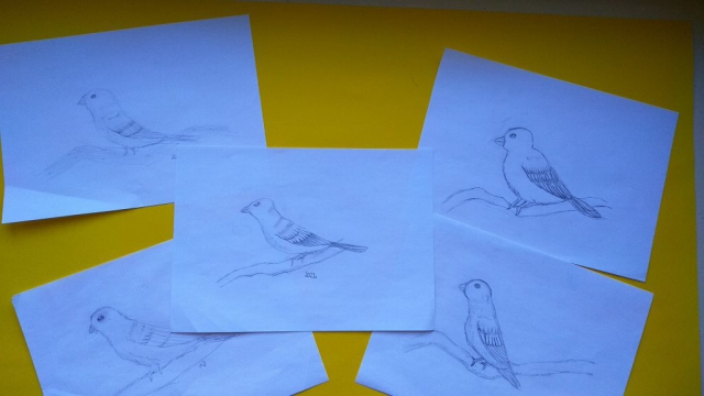 zdjęcie prac - zajęcia rysunku - wiosna